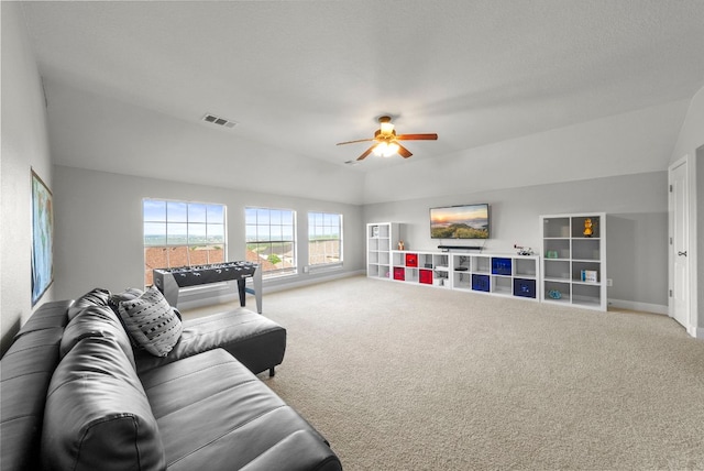 108 Whitley Dr, Austin, TX 78738 - photo 23