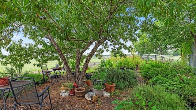 1200 Fulcher St, Blanco, TX 78606 - photo 36
