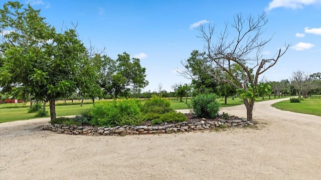 1200 Fulcher St, Blanco, TX 78606 - photo 2