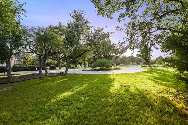 465 Lloyd Ln, Dripping Springs, TX 78620 - photo 4