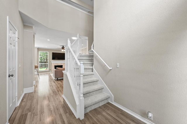 10925 Mint Julep Dr, Austin, TX 78748 - photo 3