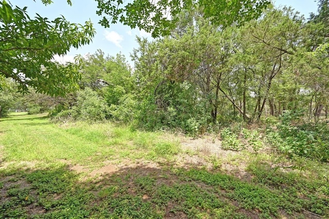 10925 Mint Julep Dr, Austin, TX 78748 - photo 32