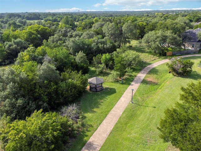 4072 Honey Bear Loop, Round Rock, TX 78681 - photo 31