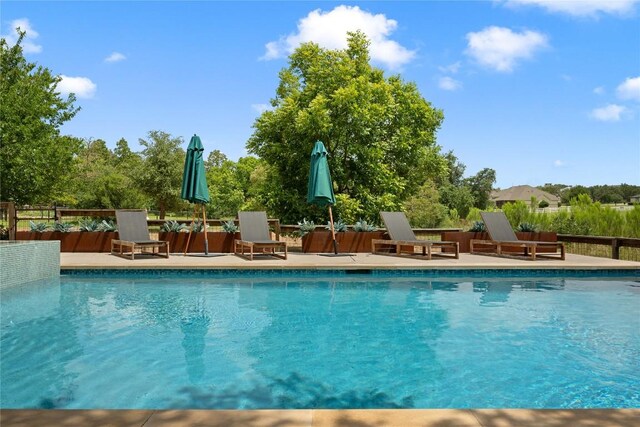 164 Lone Wolf Ct, Dripping Springs, TX 78620 - photo 24