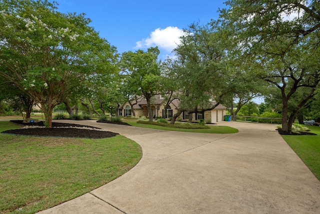 164 Lone Wolf Ct, Dripping Springs, TX 78620 - photo 2