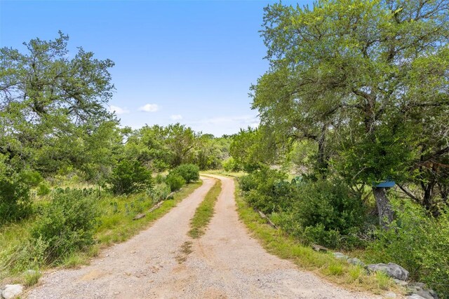 23809 Oscar Rd, Spicewood, TX 78669 - photo 5