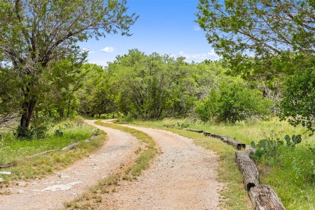 23809 Oscar Rd, Spicewood, TX 78669 - photo 6