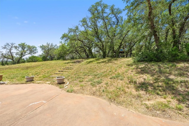 23809 Oscar Rd, Spicewood, TX 78669 - photo 11