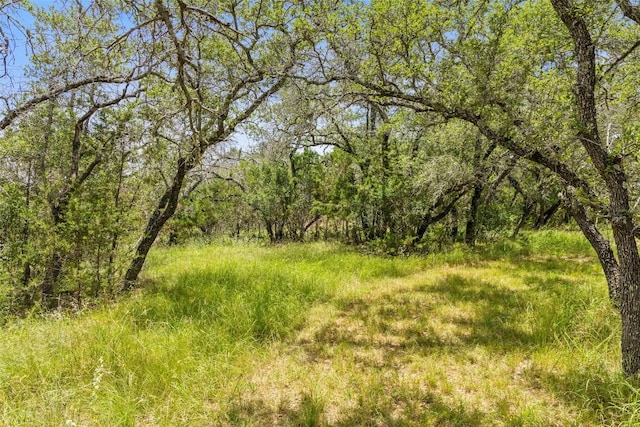 23809 Oscar Rd, Spicewood, TX 78669 - photo 14