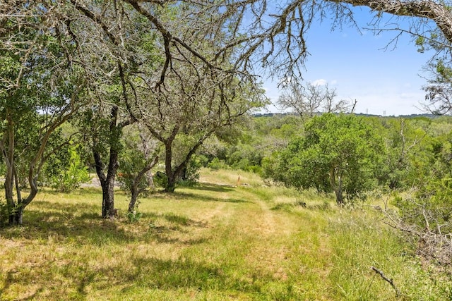 23809 Oscar Rd, Spicewood, TX 78669 - photo 15