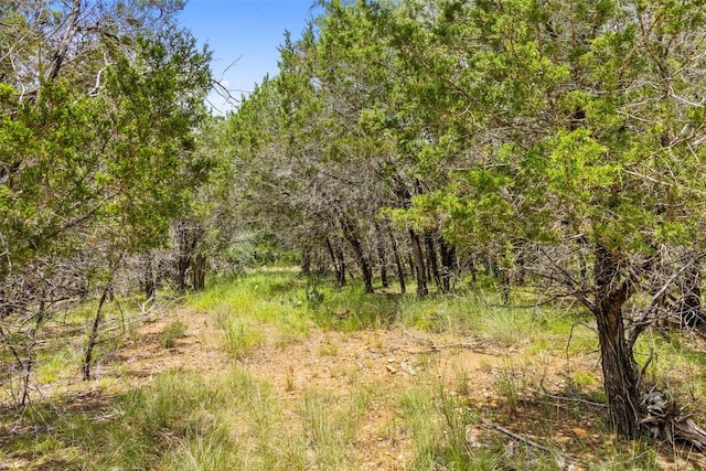 23809 Oscar Rd, Spicewood, TX 78669 - photo 16
