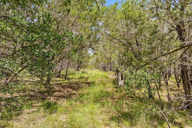 23809 Oscar Rd, Spicewood, TX 78669 - photo 17