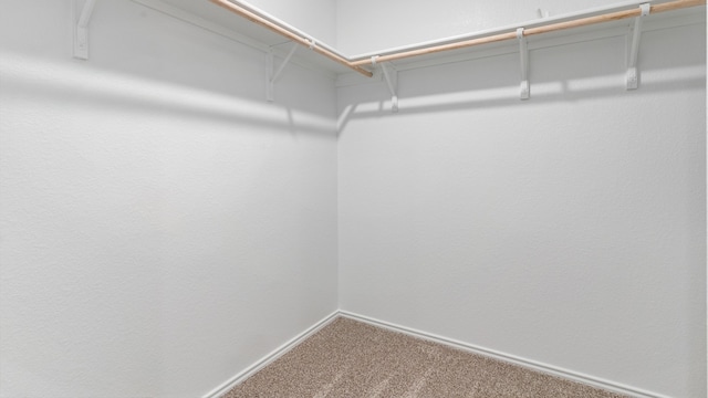 115 Frogmore Loop, Uhland, TX 78640 - photo 25
