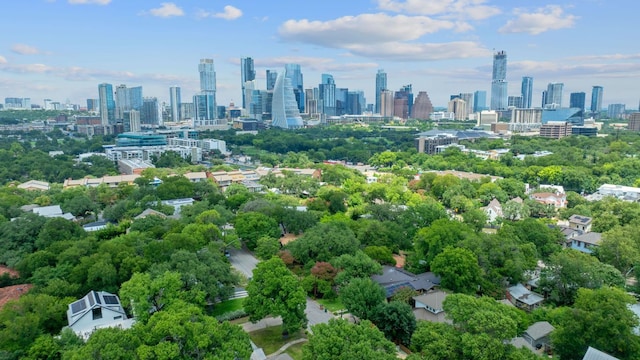 1509 Juliet St, Austin, TX 78704 - photo 36
