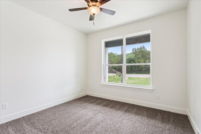 5116 Goliad Dr, Temple, TX 76502 - photo 27