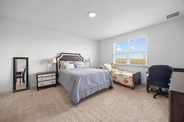110 Big Cypress Bayou Rd, Hutto, TX 78634 - photo 12