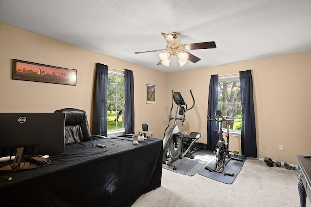 350 Lost River Rd, Georgetown, TX 78628 - photo 25