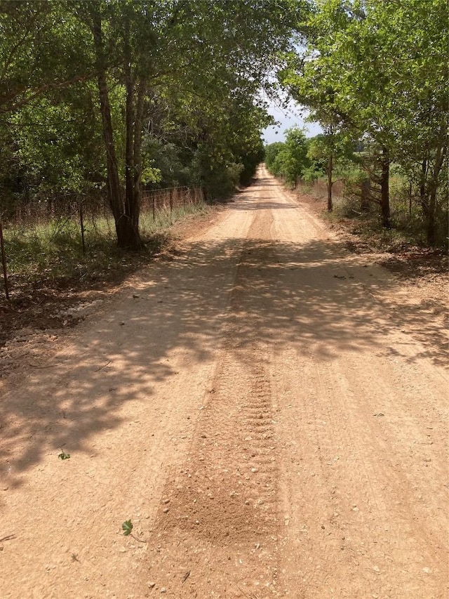 1078 Old Pin Oak Road Tracts 1 & 2, Paige, TX 78659 - photo 3