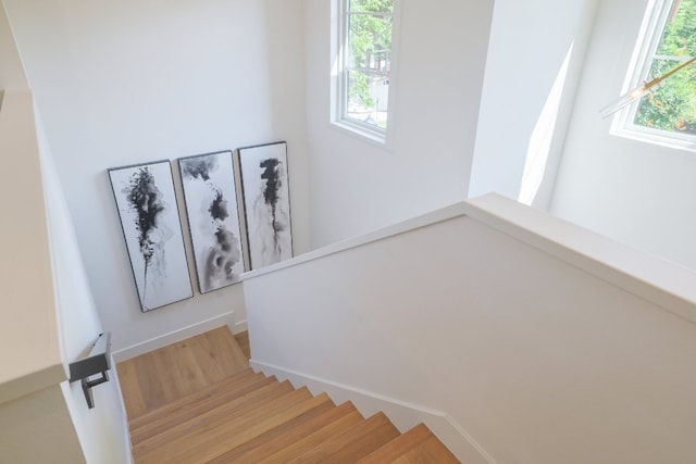 1703 Piedmont Ave, Austin, TX 78757 - photo 24