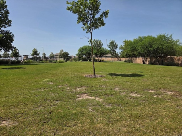 11620 Carbrook Rd, Manor, TX 78653 - photo 36