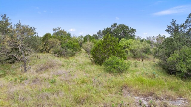 108 Cross Trl, Spicewood, TX 78669 - photo 19