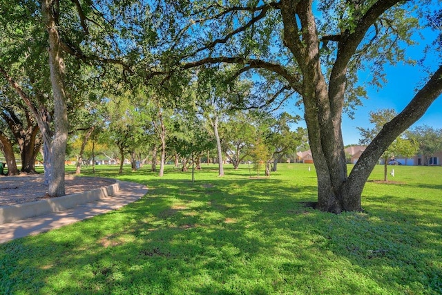 8118 Hawick Dr, Round Rock, TX 78681 - photo 28
