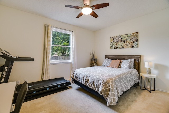 8118 Hawick Dr, Round Rock, TX 78681 - photo 8