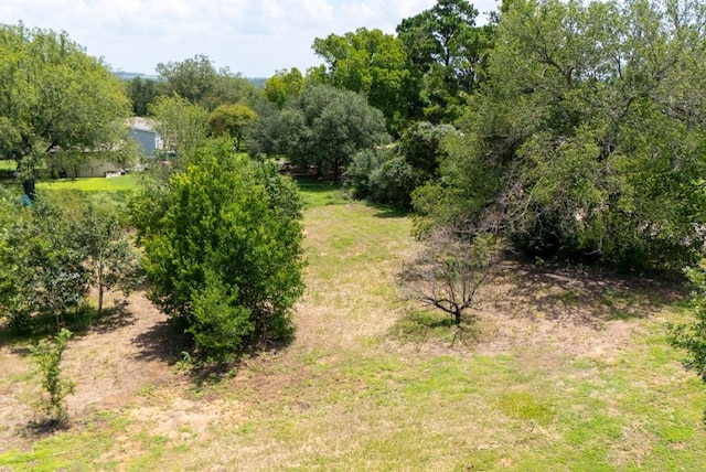 186 El Paso St, Mcdade, TX 78650 - photo 14