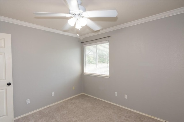 507 Dry Bean Cv, Cedar Park, TX 78613 - photo 25