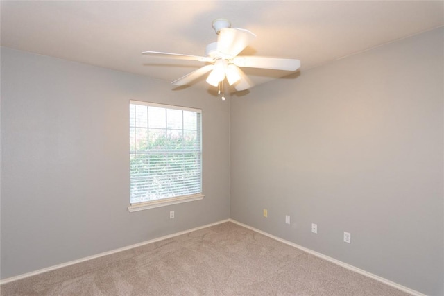 507 Dry Bean Cv, Cedar Park, TX 78613 - photo 27