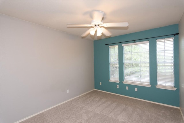 507 Dry Bean Cv, Cedar Park, TX 78613 - photo 28