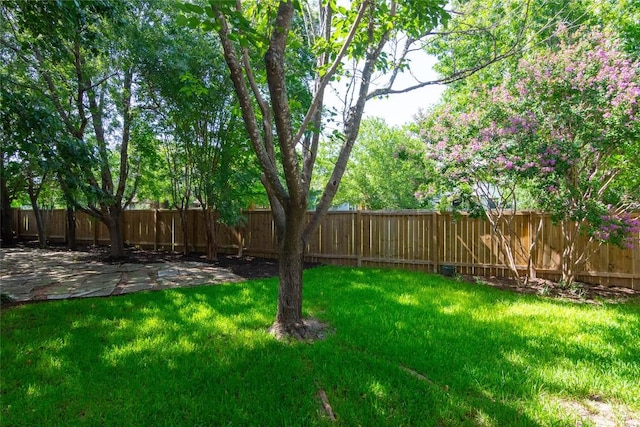 507 Dry Bean Cv, Cedar Park, TX 78613 - photo 35