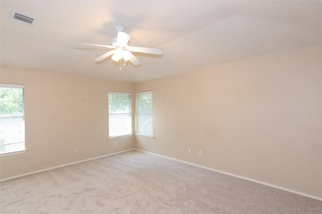 507 Dry Bean Cv, Cedar Park, TX 78613 - photo 20