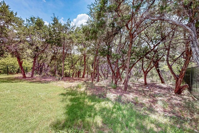 6621 Destination Way, Lago Vista, TX 78645 - photo 36