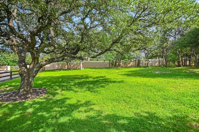3300 Forest Creek Dr Unit 6, Round Rock, TX 78664 - photo 20