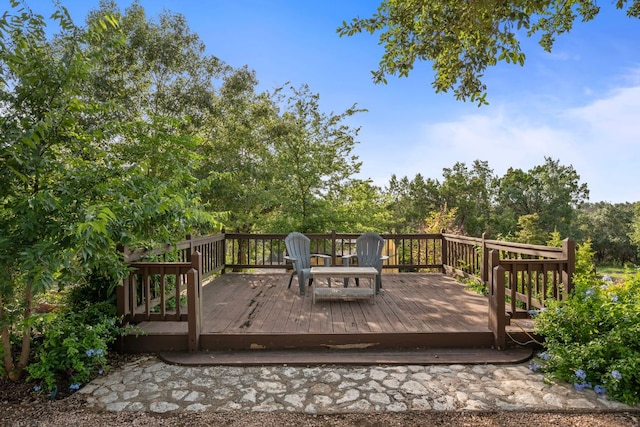 13308 View Ridge Ct, Austin, TX 78737 - photo 29