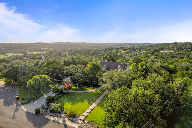 13308 View Ridge Ct, Austin, TX 78737 - photo 38