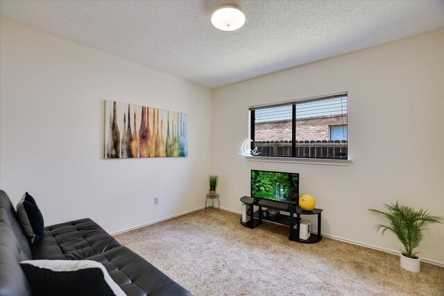 905 Justeford Dr, Pflugerville, TX 78660 - photo 11