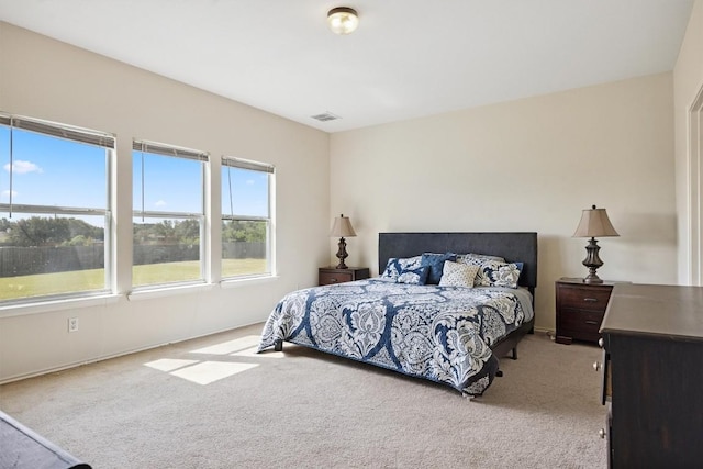 451 Swenson Dr, Hutto, TX 78634 - photo 13