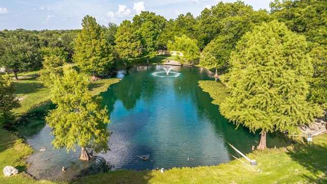 725 Crane Canyon Pl, Round Rock, TX 78665 - photo 29