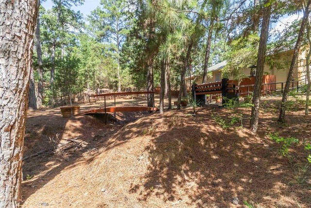 182 Papawai Dr, Bastrop, TX 78602 - photo 33