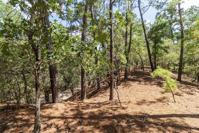 182 Papawai Dr, Bastrop, TX 78602 - photo 35