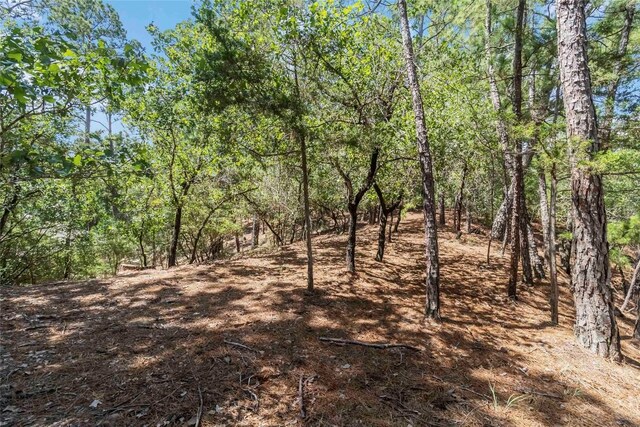 182 Papawai Dr, Bastrop, TX 78602 - photo 36