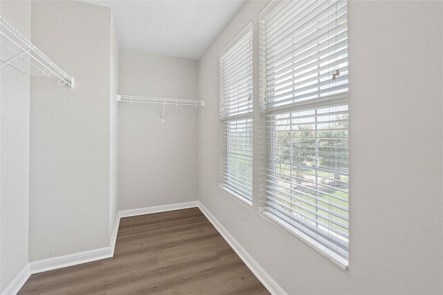 216 Greene Dr, Kyle, TX 78640 - photo 12