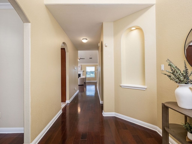 1616 Hidden Springs Path, Round Rock, TX 78665 - photo 5
