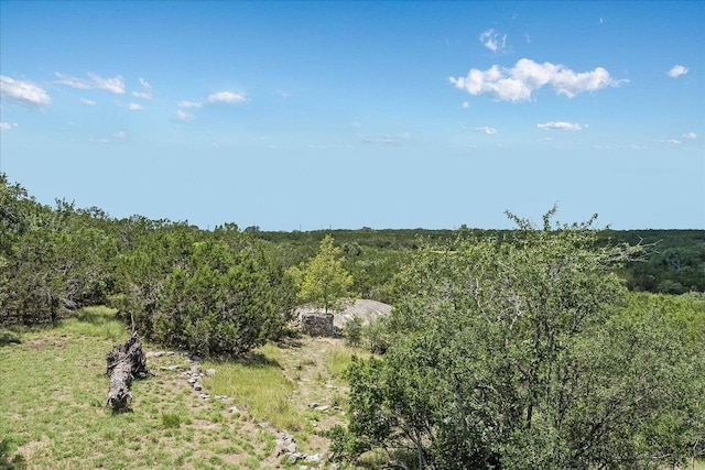 101 Maheo Way, Dripping Springs, TX 78620 - photo 17