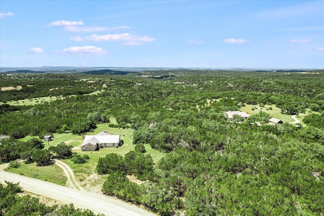 101 Maheo Way, Dripping Springs, TX 78620 - photo 20