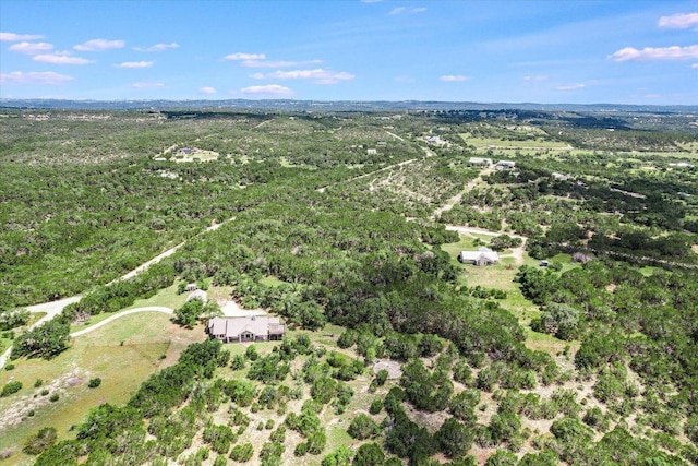 101 Maheo Way, Dripping Springs, TX 78620 - photo 23