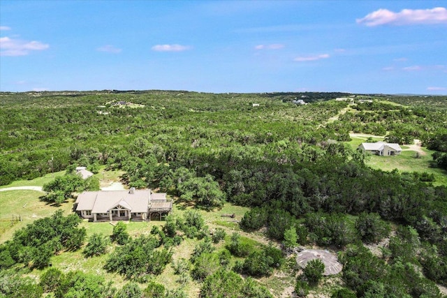 101 Maheo Way, Dripping Springs, TX 78620 - photo 25