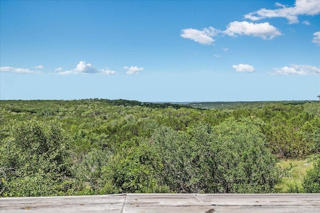 101 Maheo Way, Dripping Springs, TX 78620 - photo 15